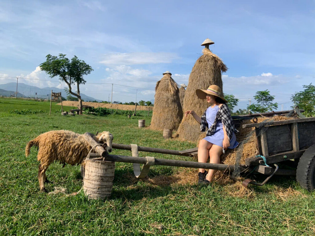 Nguyen Thi Kieu Trang la ai